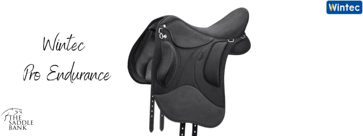 Most comfortable top endurance saddle