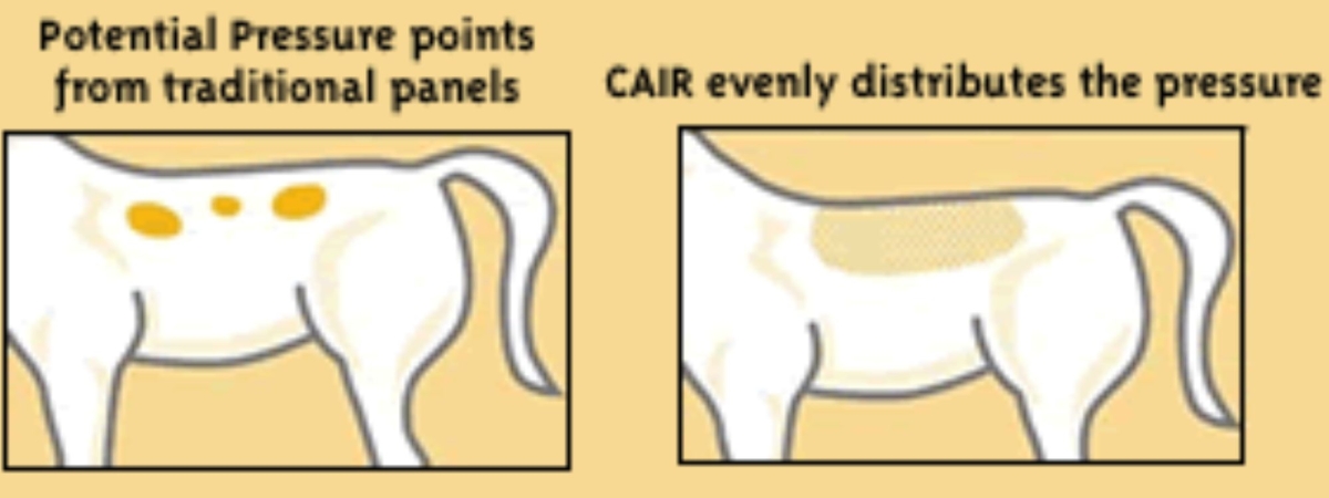 Adjustable CAIR Panels