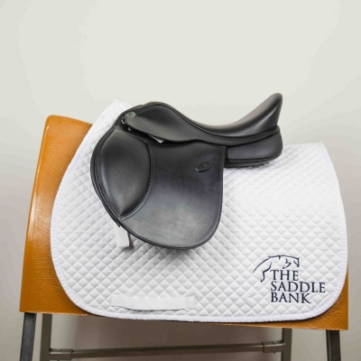 Image of Arena Pony Cob GP