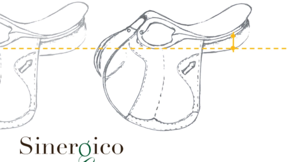 Amerigo Saddle Amerigo Saddle