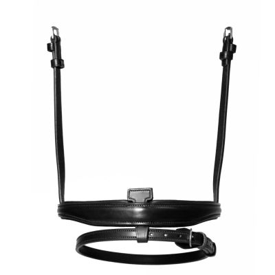 Image of Henry James Flash Noseband