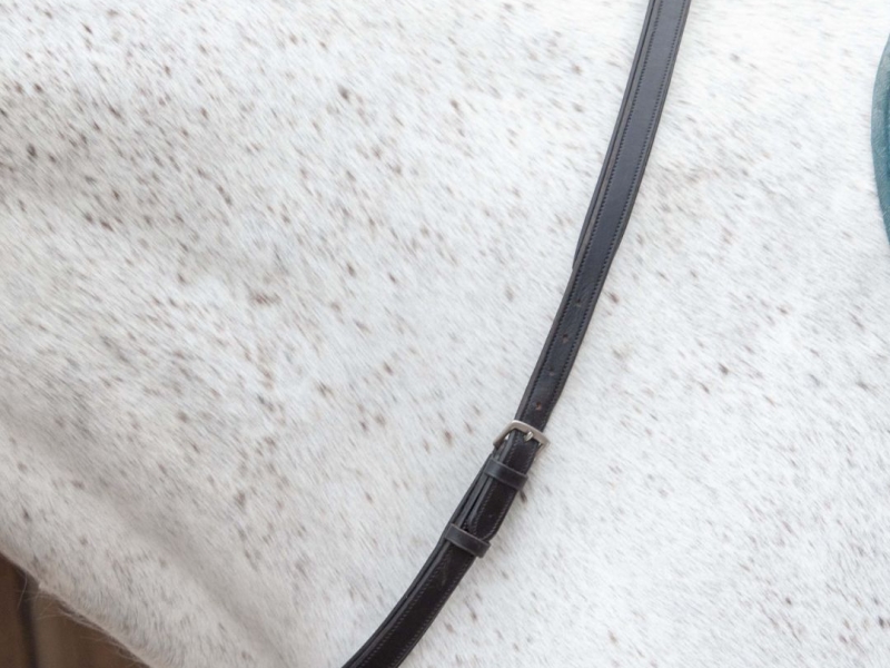 Henry James Leather Neck Strap