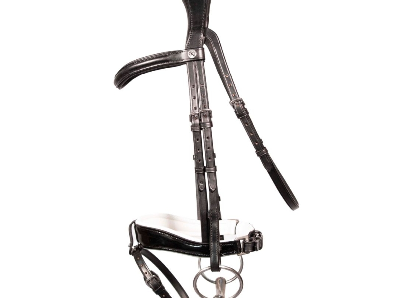 Snaffle grand prix classes proposed as double bridle debate continues
