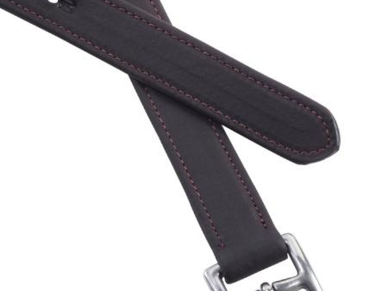 GFS Premier Pony Leathers