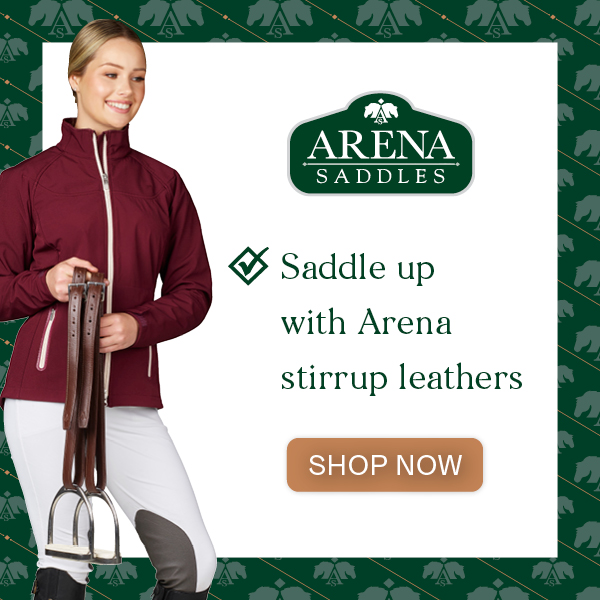 Amidale Leather Stirrups – Sizes 48, 54, 61 – Black & Brown (Brand New With Tags)