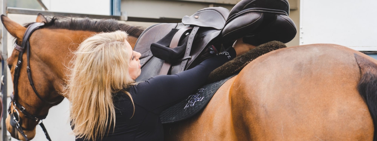 What Happens at a Saddle Fitting Appointment?