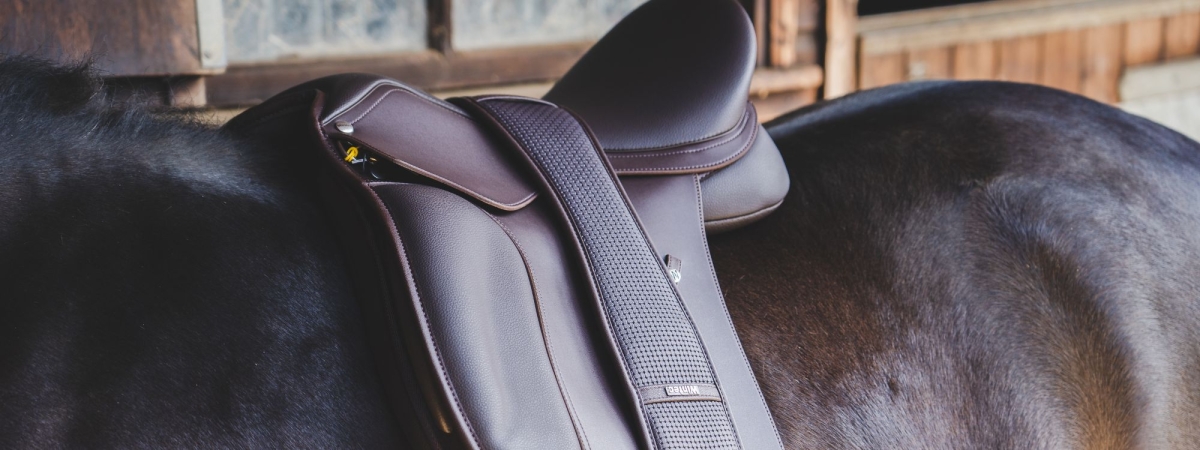 Frequency of Saddle Fit Checks