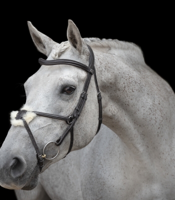Bridles image
