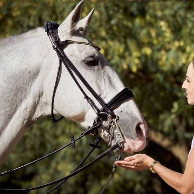 Image of Finesse Cassidy Double Bridle