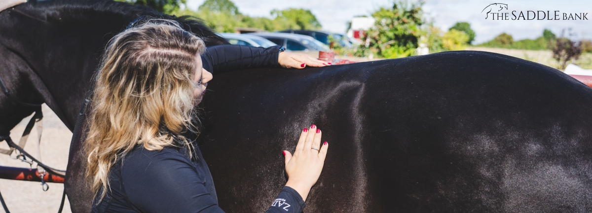 saddle fitter