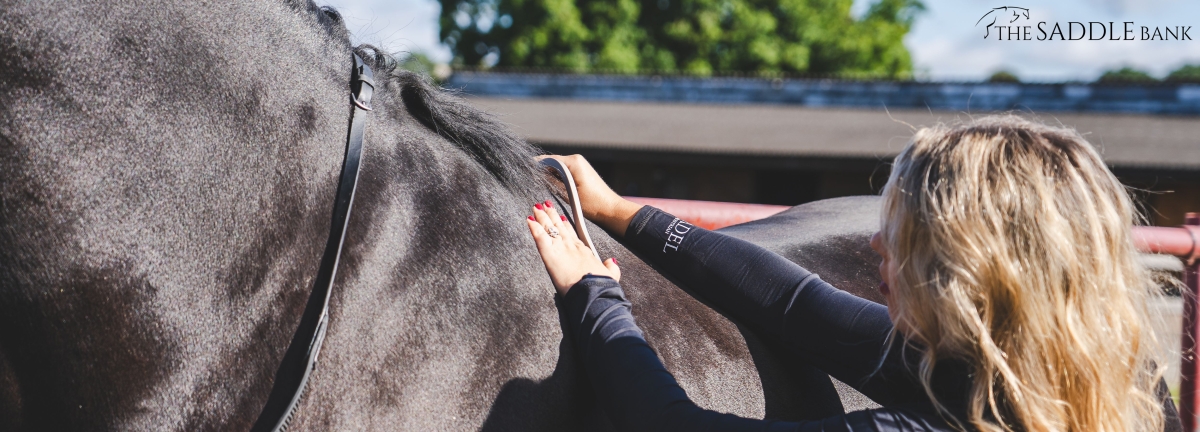 saddle fitting