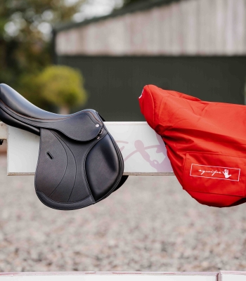 The Saddle Bank image