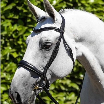Image of Premier Equine Verdura Anatomic Snaffle Bridle