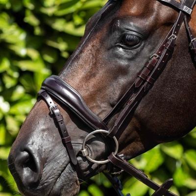 Premier Equine Cheek Pieces Image of Premier Equine Cheek Pieces
