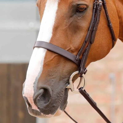 Image of Premier Equine Primo Hunter Cavesson Noseband