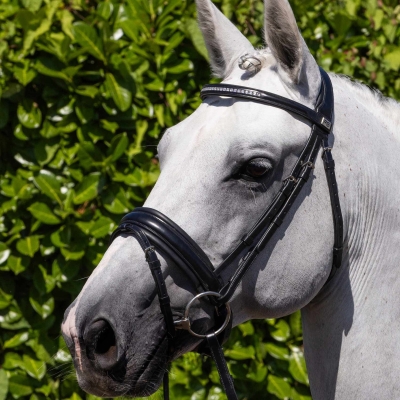 Image of Premier Equine Castello Anatomical Bridle