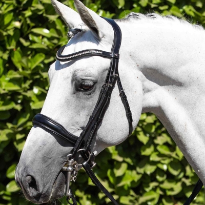 Image of Premier Equine Abriano Anatomic Double Bridle