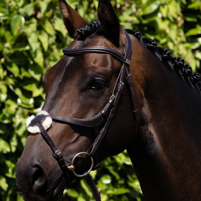 Image of Premier Equine Glorioso Grackle Bridle