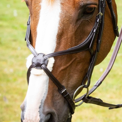 Image of Premier Equine Glorioso Mexican Grackle Noseband