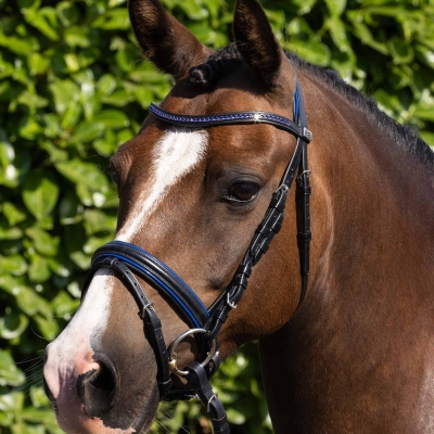 Image of Premier Equine Mineo Pony Snaffle Bridle