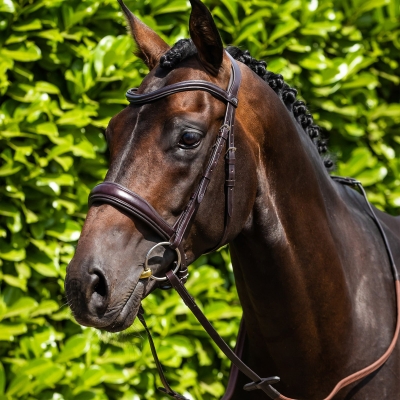 Image of Premier Equine Liscio Plain Shaped Leather Browband