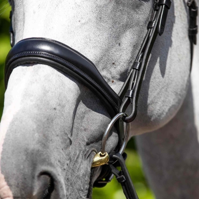 Image of Premier Equine Verdura Anatomic Cavesson Noseband