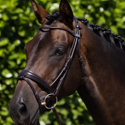 Image of Premier Equine Finetti Rolled Leather Snaffle Bridle Black