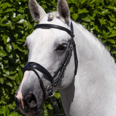 Image of Premier Equine Artana Snaffle Bridle