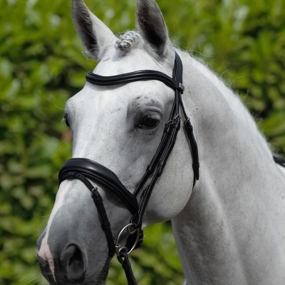 Image of Premier Equine Rizzo Anatomic Snaffle Bridle with Flash