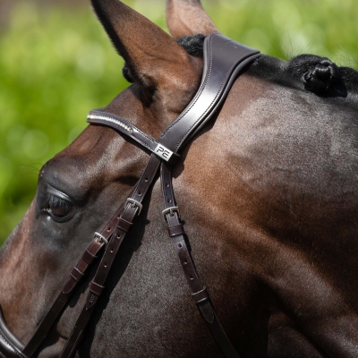Image of Premier Equine Anatomical Shaped Headpiece
