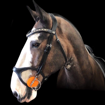 Image of Evo Equine Neptune Bridle