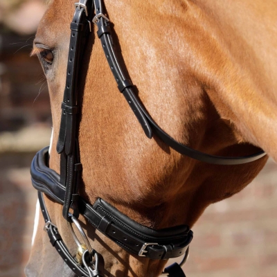 Image of Premier Equine Throatlash