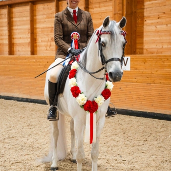 Show saddles