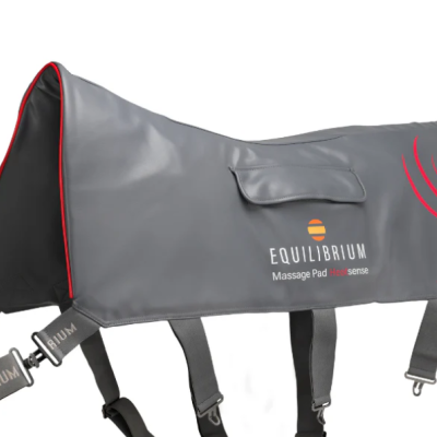 Image of Equilibriu Massage Pad Heatsense