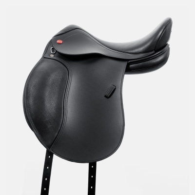 Image of John Whitaker Jack Pony Dressage
